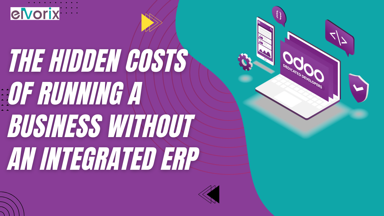 Odoo demo by elvorix